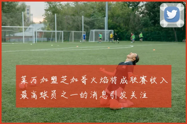 莱万加盟芝加哥火焰将成联赛收入最高球员之一的消息引发关注
