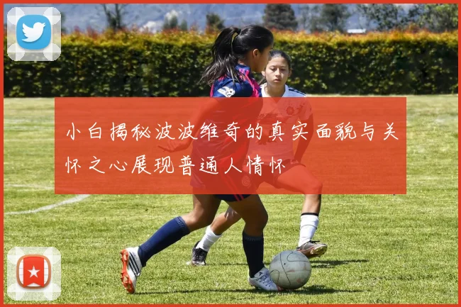 小白揭秘波波维奇的真实面貌与关怀之心展现普通人情怀